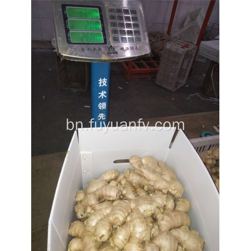 250g বায়ু শুকনো আদা